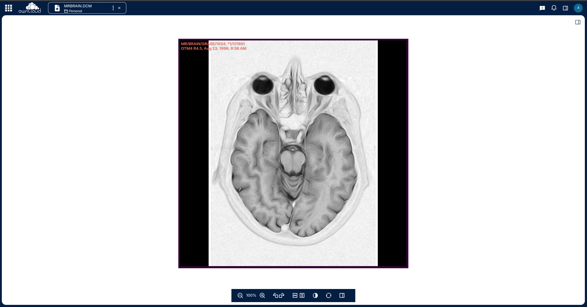 Preview a DICOM image and it's most important meta data.