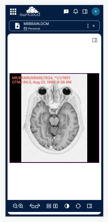 Preview a DICOM image and it's most important meta data on a mobile device.